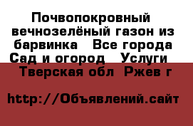 Почвопокровный, вечнозелёный газон из барвинка - Все города Сад и огород » Услуги   . Тверская обл.,Ржев г.